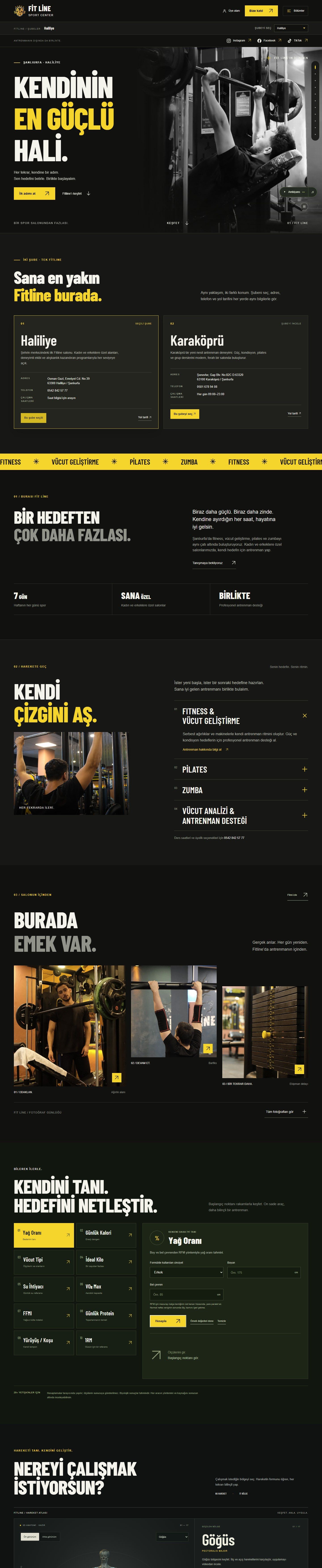 fitlinesportcenter.com bilgisayarda